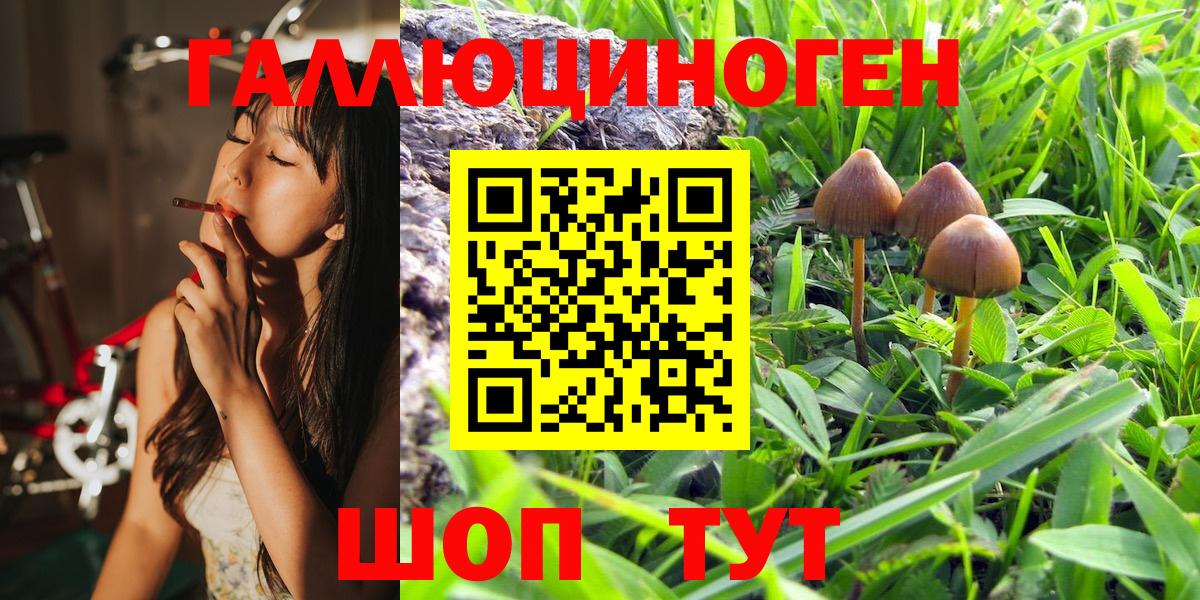 Галлюциногенные грибы Magic Shrooms  Вход с VPN  Гулькевичи 