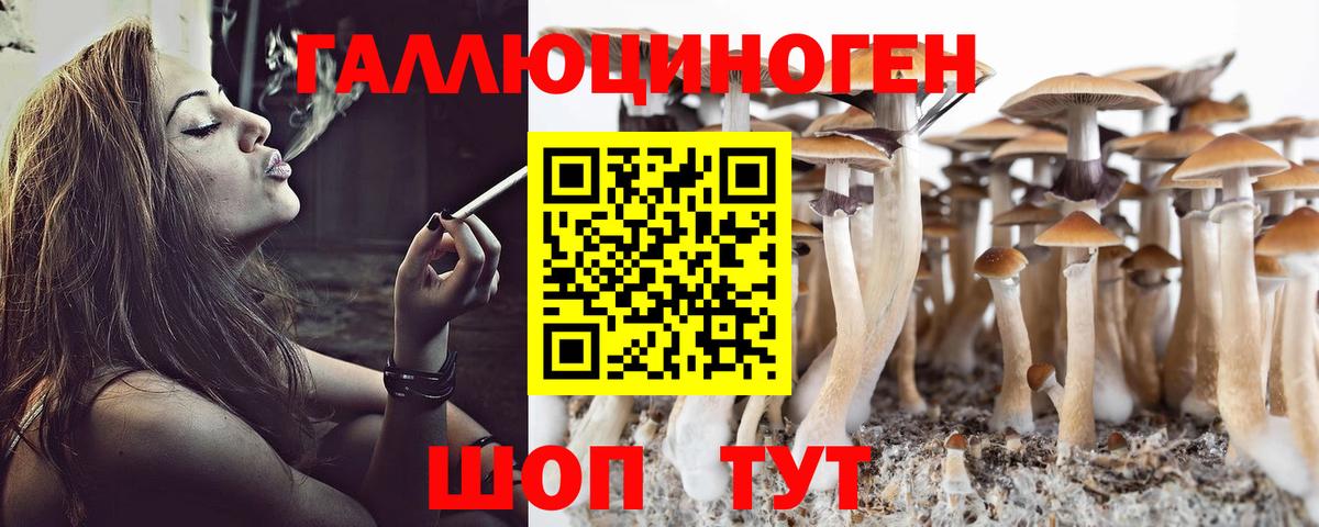 Псилоцибиновые грибы ЛСД Гулькевичи